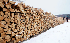 Fully Seasoned and Kiln Dried Fire Wood