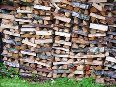 Fully Seasoned and Kiln Dried Fire Wood